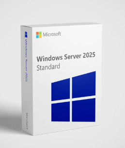 Windows Server 2025 Standard — Lifetime License